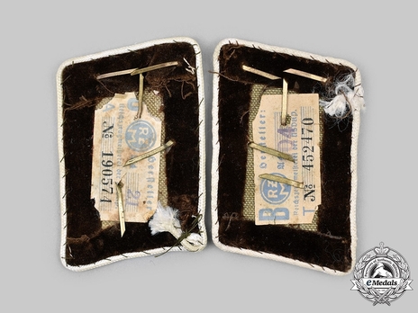 NSDAP Bereichsleiter Type IV Kreis Level Collar Tabs Reverse