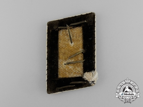 NSDAP Ober-Bereichsleiter Type IV Kreis Level Collar Tabs Reverse