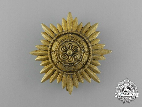 I Class in Gold Obverse