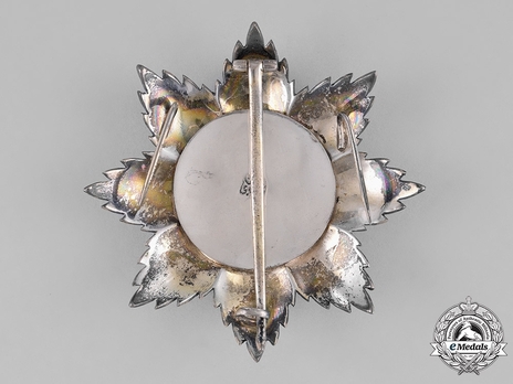 I Class Grand Cordon Breast Star Reverse
