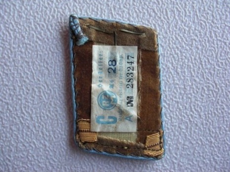 NSDAP Haupt-Arbeitsleiter Type IV Ort Level Collar Tabs Reverse