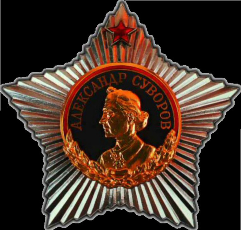 Order of suvorov 1st class
