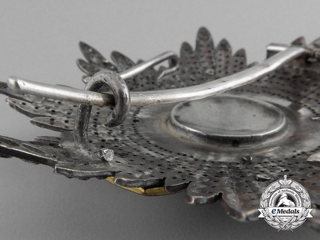 2nd Class Breast Star (white distinction) (with coat of arms of Castile and Leon, and Imperial Crown) (Silver gilt) Reverse