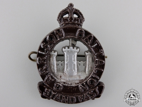 Garrison Battalion Officers Cap Badge Obverse