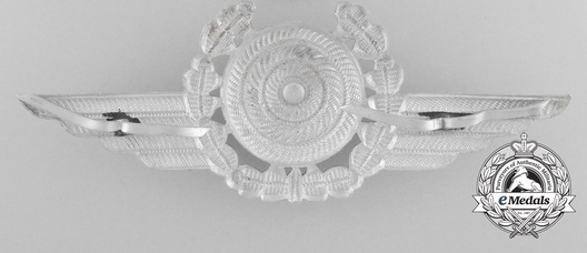 DLV Type B Metal Cap Insignia Reverse