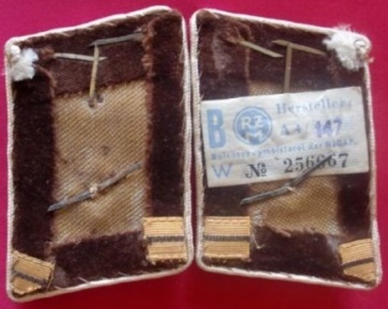 NSDAP Haupt-Arbeitsleiter Type IV Kreis Level Collar Tabs Reverse