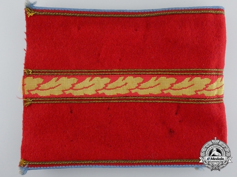 NSDAP Ortsgruppenleiter Type II Ort Level Armband Reverse