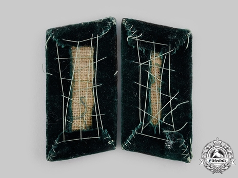RAD 3rd Pattern Oberstarbeitsführer - Arbeitsführer Collar Tabs Reverse