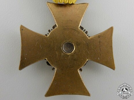 Type IV, III Class (for 25 years with silver eagle) Reverse