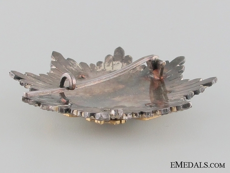 2nd Class Breast Star (white distinction) (with coat of arms of Castile and Leon, and Imperial Crown) (Silver and Silver gilt) Reverse