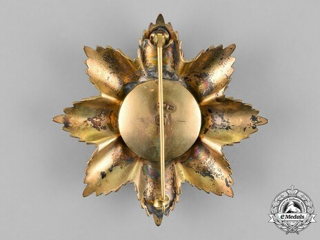 Order of Noble Bukhara, I Class, III Grade (version 3) Reverse