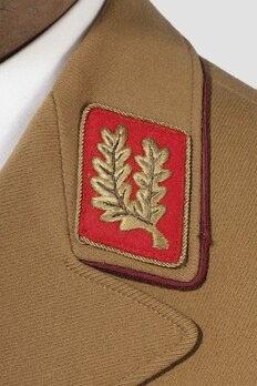 NSDAP Hauptdienstleiter Type III Reich Level Collar Tabs Obverse