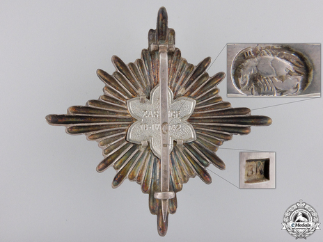 I Grand Officer Class Breast Star (for ladies) Reverse