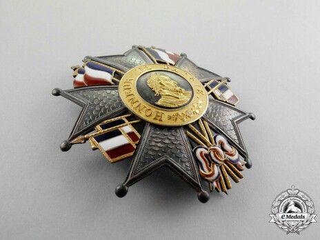 Grand Eagle Breast Star Reverse