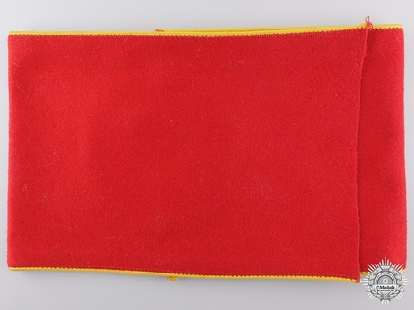 NSDAP Sonderbeauftragter Type II Reich Level Armband Reverse