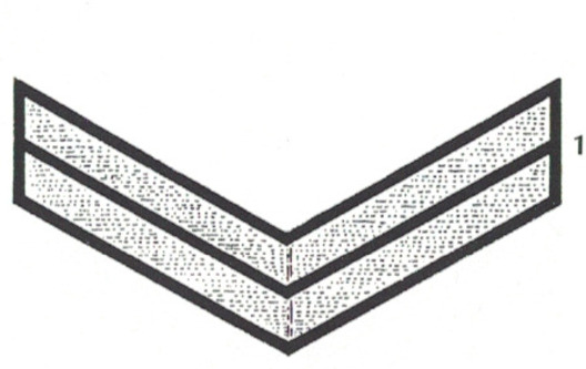 DAF 3rd Pattern Betriebsobmann & Betriebswerkscharstammführer Sleeve Rank Insignia Obverse