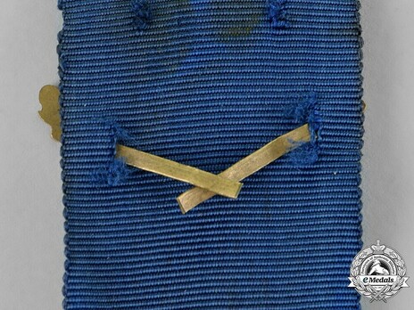 I Class for 40 Years Reverse Detail