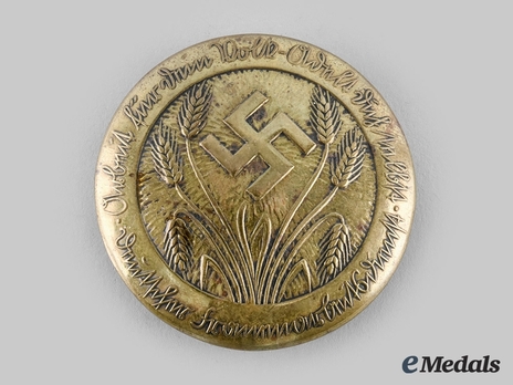 RADwJ Deutscher Frauenarbeitsdienst Lagerführerin Rank Brooch Obverse