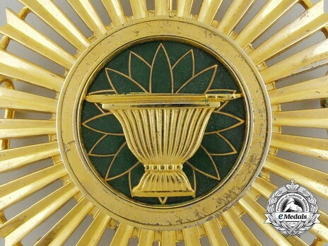 Royal Order of Sahametrei, Grand Cross Breast Star Obverse Detail