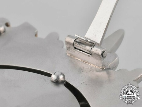 National Prize for Art and Science, Breast Star Reverse Detail