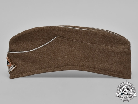 RAD Officer's Field Cap Left