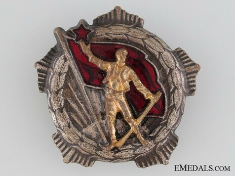 Medal for Remembrance, Type II, Large Badge (in Silver gilt) Obverse
