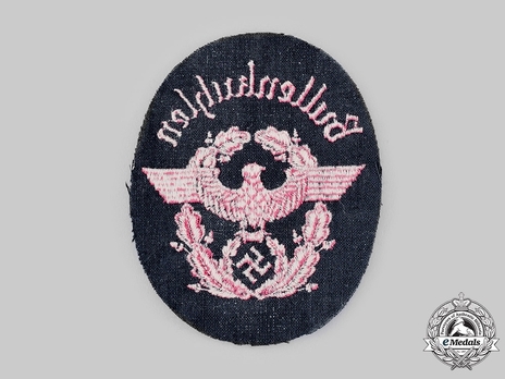 Firefighters Enlisted Ranks Blue Uniform Professionals Sleeve Eagle Reverse