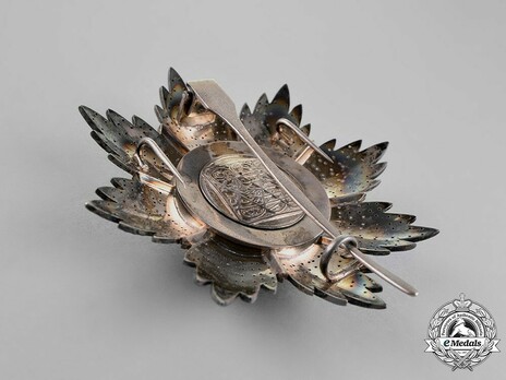 Order of the Brilliant Star of Zanzibar, Type VI, II Class Officer Breast Star Reverse