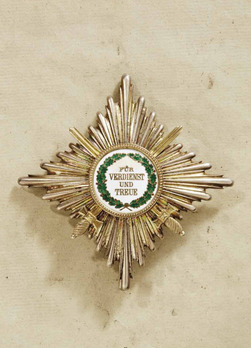Order of Merit, Type II, Military Division, I Class Commander Breast Star Obverse