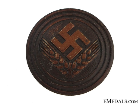 RADwJ 1939 Maidenunterführerin Rank Brooch Obverse