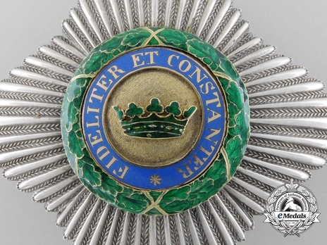 House Order of Saxe-Ernestine, Type II, Civil Division, I Class Commander Breast Star Obverse