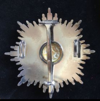 National Order, Grand Officer Breast Star Reverse