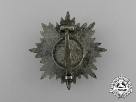 I Class in Silver Reverse
