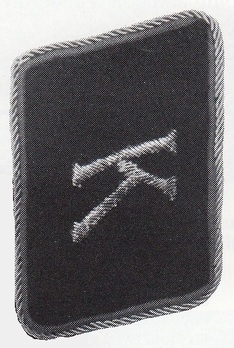 NSFK Korpsführung Staff Unit Collar Tabs Obverse