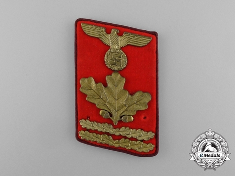 NSDAP Haupt-Dienstleiter Type IV Gau Level Collar Tabs Obverse