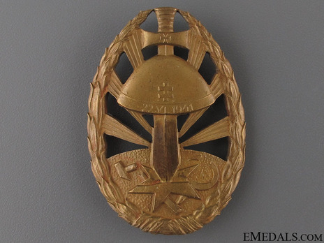 Badge of Honour for Service on the Eastern Front, in Bronze Obverse