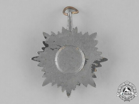 II Class in Silver Reverse
