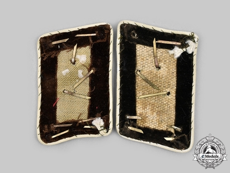 NSDAP Haupt-Bereichsleiter Type IV Kreis Level Collar Tabs Reverse