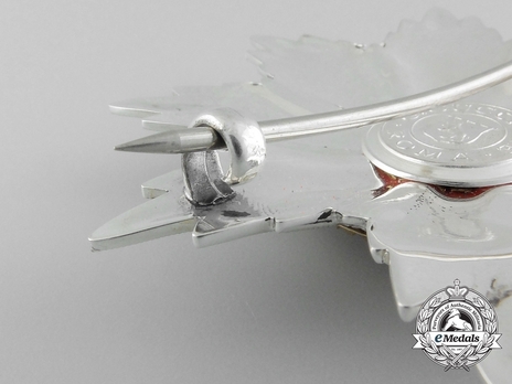 Equestrian Order of Merit of the Holy Sepulcher of Jerusalem (Type II) Collar Breast Star Reverse Detail