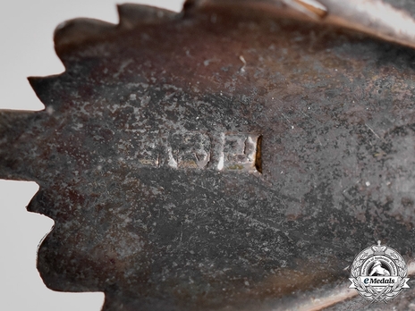 Knight Reverse Detail