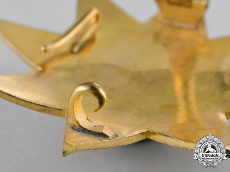 Order of the Star of Ethiopia, Grand Officer Breast Star (in Bronze gilt) Reverse Detail