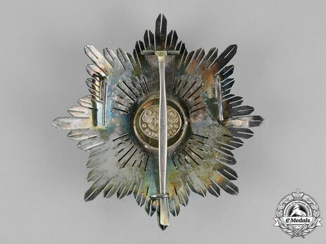 2nd Class Breast Star (white distinction) (with Fleur de Lys and Royal Crown) (Silver and Silver gilt) Reverse
