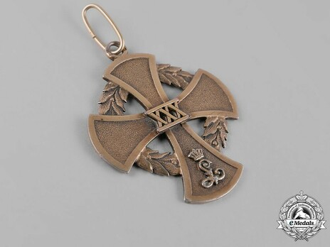 Service Cross for Nurses for 30 Service Year Obverse