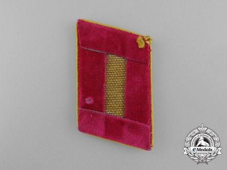 NSDAP Haupt-Bereichsleiter Type IV Reich Level Collar Tabs Reverse