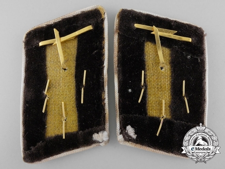 NSDAP Einsatzleiter Type IV Kreis Level Collar Tabs Reverse