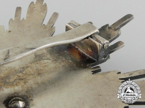 Order of the Double Dragon, Type II, II Class, III Grade Star Reverse Detail