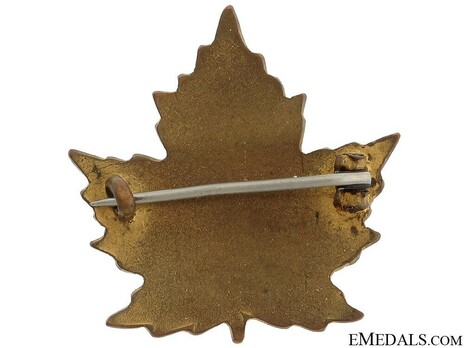 11th Field Ambulance Other Ranks Collar Badge Reverse