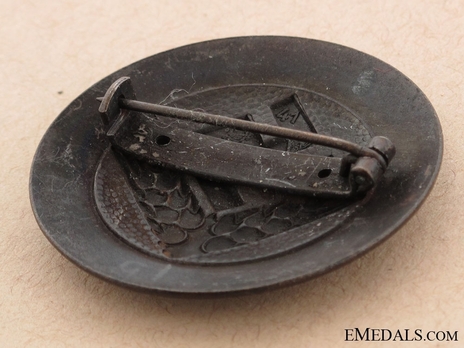 RADwJ 1939 Jungführerin Rank Brooch Reverse