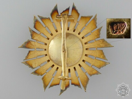 I Class Breast Star Reverse