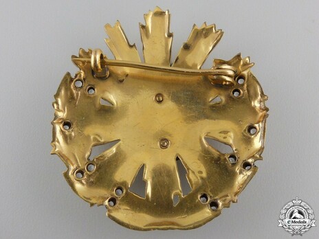 Order of Tudor Vladimirescu, I Class Breast Star (for Foreigners) Reverse